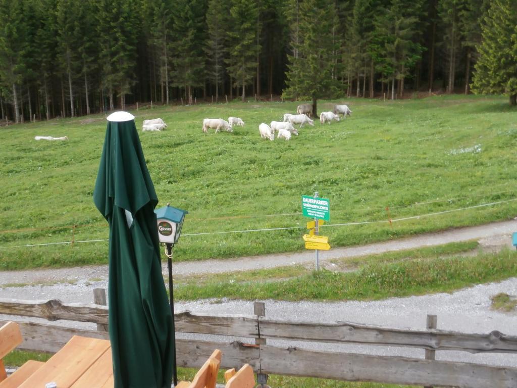 Отель Gasthof Untere Valentinalm Plocken Экстерьер фото